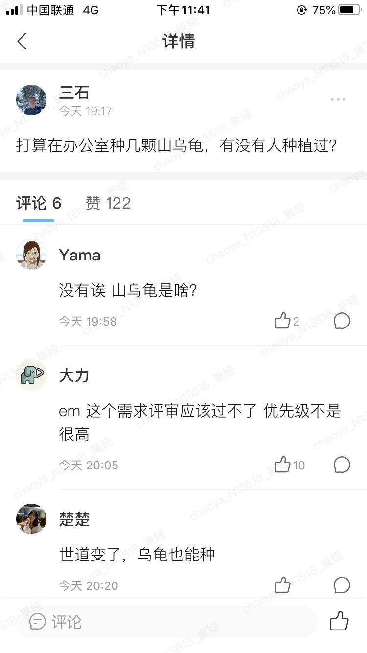 绿萝爬满整个家，老妈却说“阴气”重，让我清理掉 