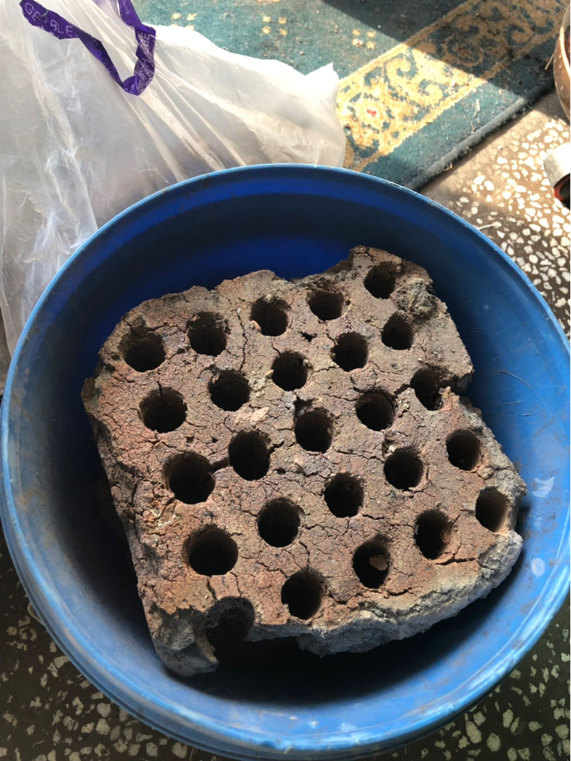 花盆里垫点小东西，大大增加透气性，养花不烂根 （花友们跟着花一块来学学吧）