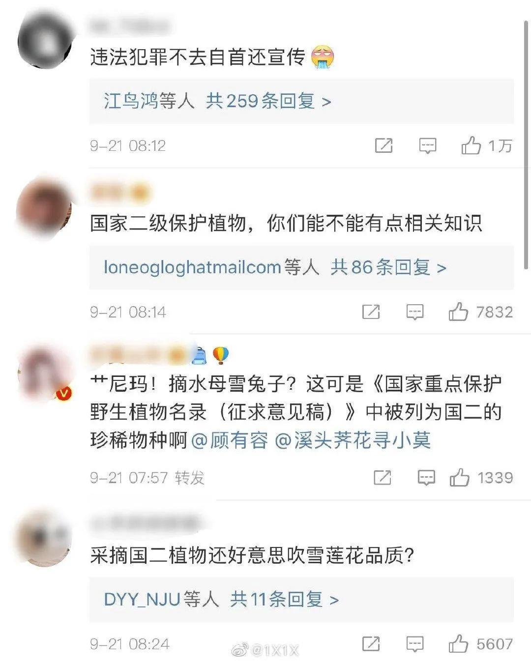 我国二级保护植物雪莲花，遇到千万要保护好它，不要乱掐