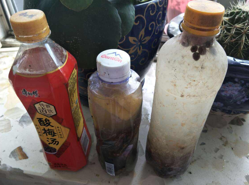 吃剩的骨头不要扔,拿来给花补钙,花朵疯长 (吃剩下的骨头别再扔了,用这种方法做,叶子更绿更油,开花更艳)