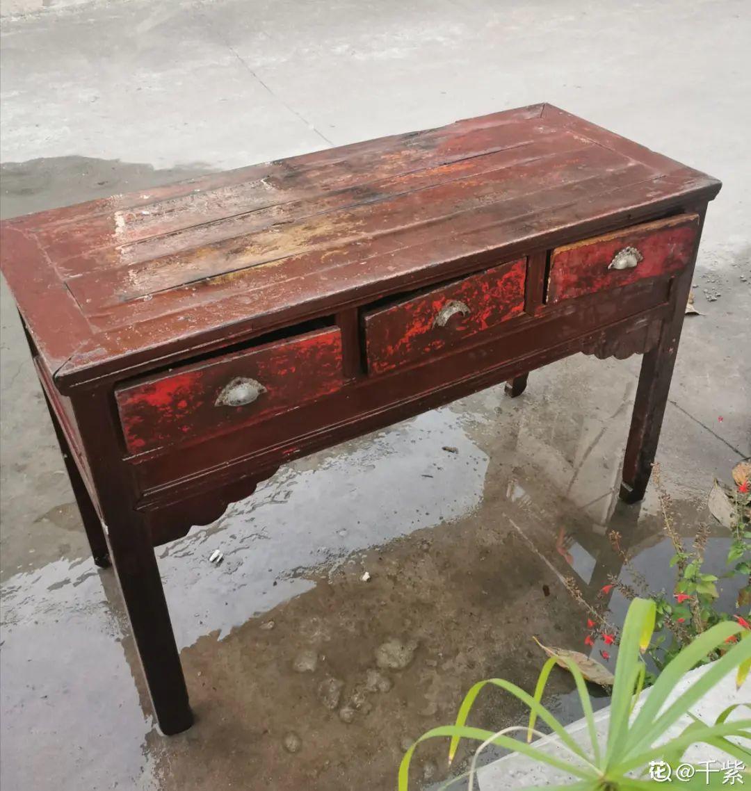 过完年,垃圾桶周围多了不少花,又要开始捡破烂儿了 (年过完了,花友们准备好了吗?)