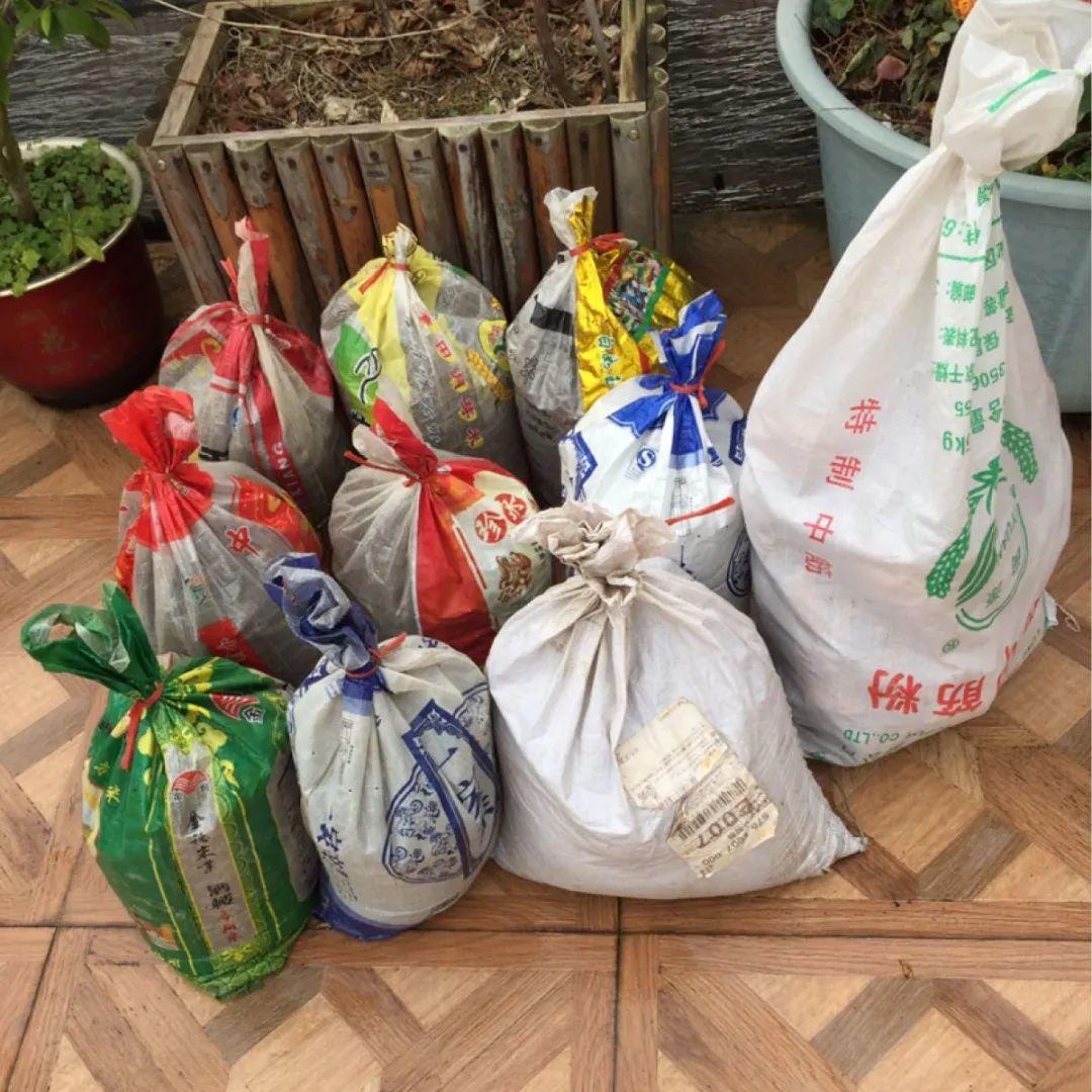 过完年,垃圾桶周围多了不少花,又要开始捡破烂儿了 (年过完了,花友们准备好了吗?)