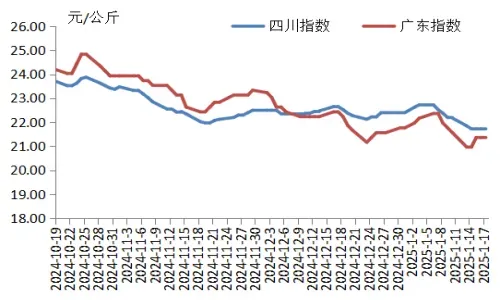 2025年01月23日全国卷柏价格大数据表